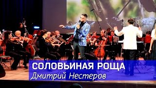 Дмитрий Нестеров - Соловьиная роща / симфонический оркестр / юбилейный вечер Давида Тухманова