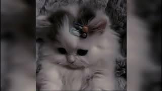 terlukis indah - rizky febian & ziva magnolya [sped up]