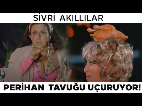 Sivri Akıllılar Türk Filmi | Perihan'ın Tavuk ile İmtihanı!