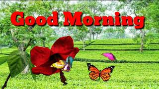 Good morning song WhatsApp status video Assamese song
