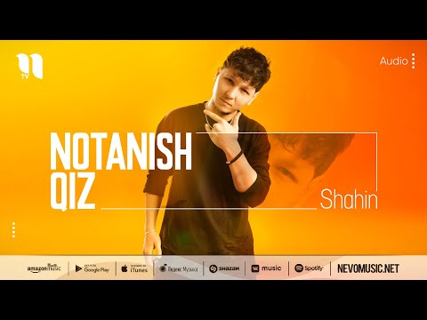 Shahin — Notanish qiz (audio 2022)