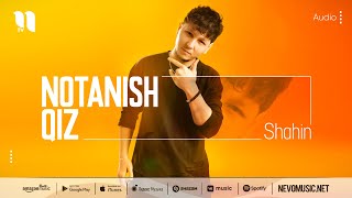 Shahin - Notanish qiz (audio 2022)