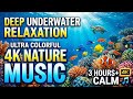 Ocean Dream Night 🌊 • Soothing Relaxation Music for Sleep 😴 • Gentle Underwater Flow ✨