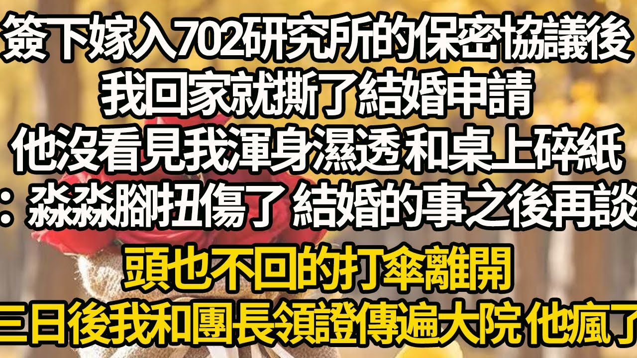 【完結】簽下嫁入702研究所的保密協議後，我回家就撕了結婚申請，他沒看見我渾身濕透 和桌上碎紙：淼淼腳扭傷了 結婚的事之後再談，頭也不回的打傘離開，三日後我和團長領證傳遍大院 他瘋了