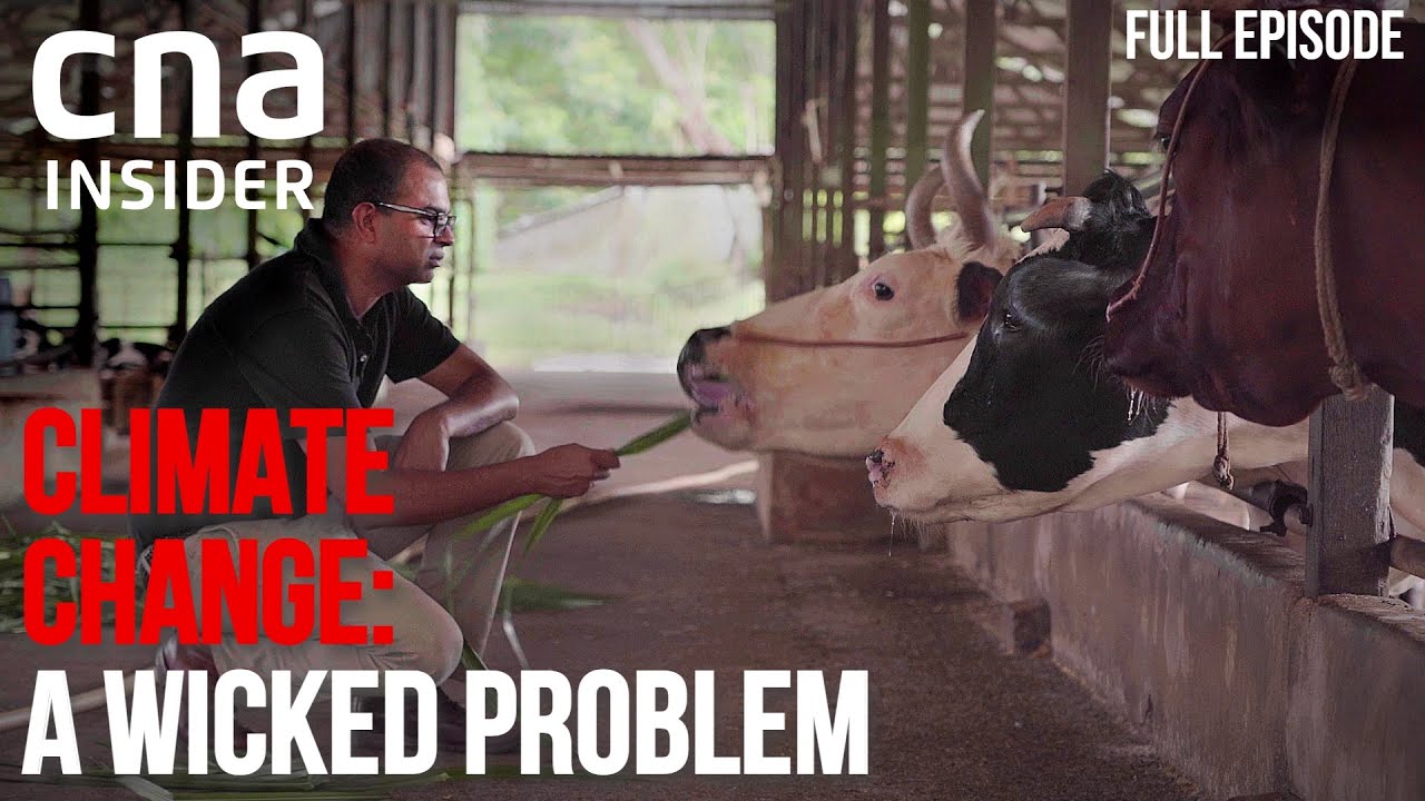 Singapore's Food Problem: Carbon Footprint Of A Food Paradise | Climate Change: A Wicked Proble