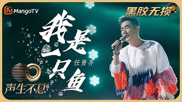 【纯享·黑胶无损】任贤齐《我是一只鱼》烘托出浓郁的夏日气息，用歌声带领听众回到那青涩的遥遥时光｜声生不息宝岛季 EP11 Infinity and Beyond 2023 | MangoTV