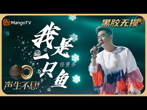 【纯享·黑胶无损】任贤齐《我是一只鱼》烘托出浓郁的夏日气息，用歌声带领听众回到那青涩的遥遥时光｜声生不息宝岛季 EP11 Infinity and Beyond 2023 | MangoTV