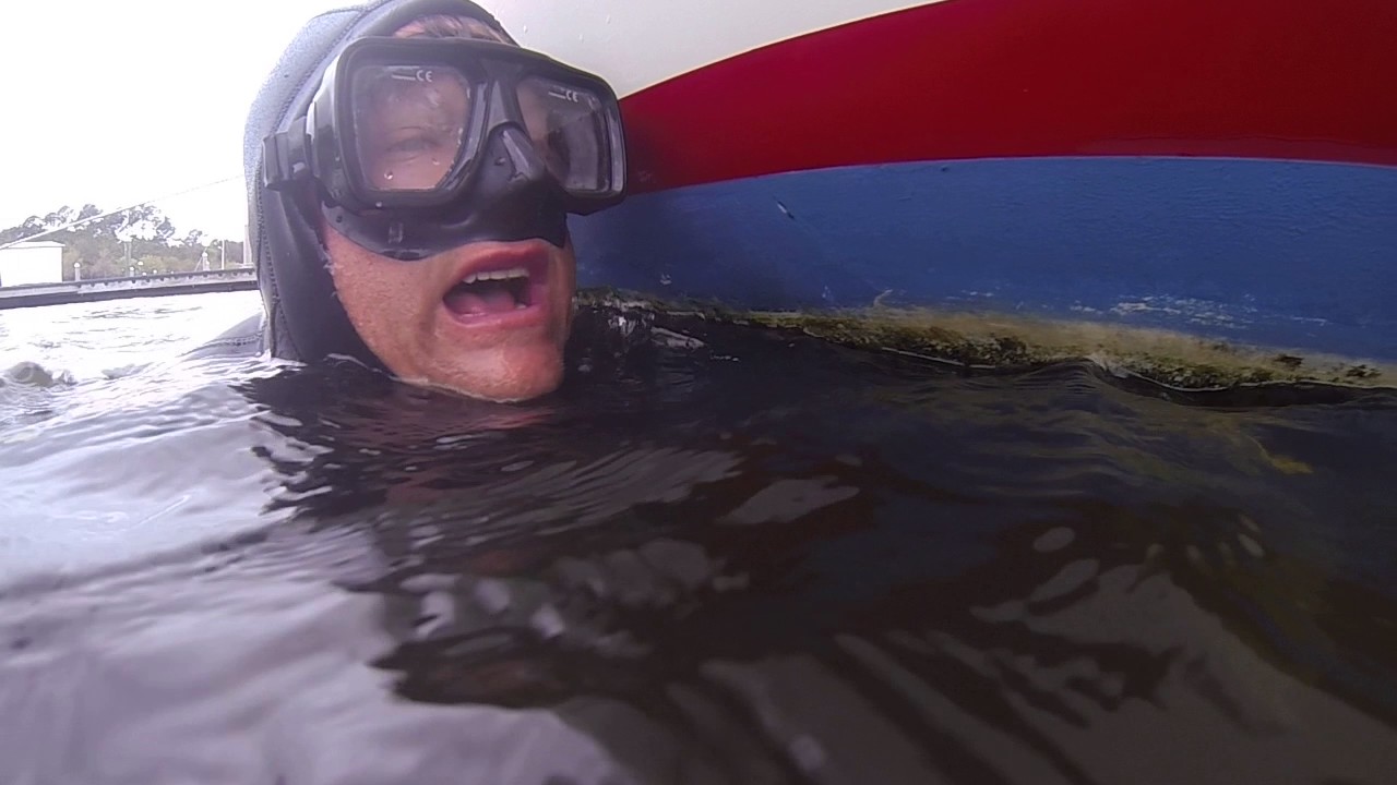 3 23 2017 Venus Comparison Due for Bottom Paint