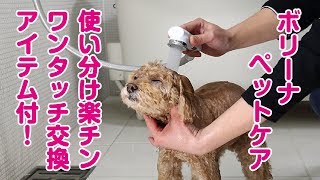【バブル】便利なペット用シャワー【ボリーナペットケア】