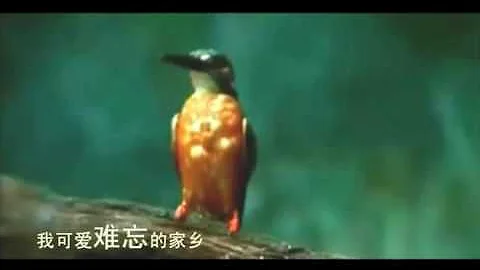 山裡天堂·遂昌 - 天天要聞