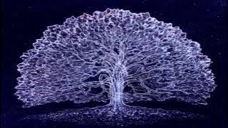 Phaxe - Disturbed