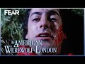 The First Werewolf Attack! | An American Werewolf In London (1981)