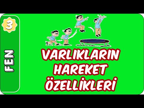 Varlıkların Hareket Özellikleri | 3. Sınıf Fen evokul Kampı