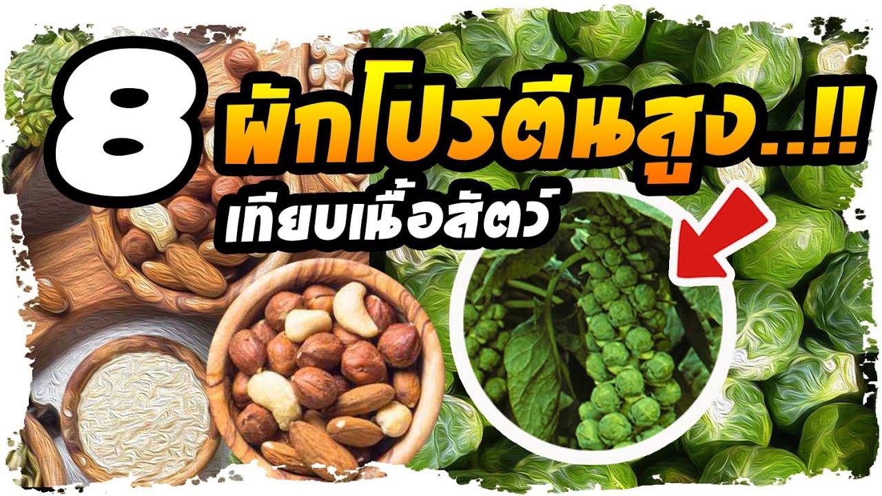 ป่วยน้อยลง..!! กินผัก 8 ชนิดนี้ โปรตีนสูงสูงปรี๊ด  แบบไม่ง้อเนื้อสัตว์ | Nava DIY | ข้อมูลทั้งหมดที่เกี่ยวข้องกับอาหาร ที่ ให้ โปรตีน สูงเพิ่งได้รับการอัปเดต