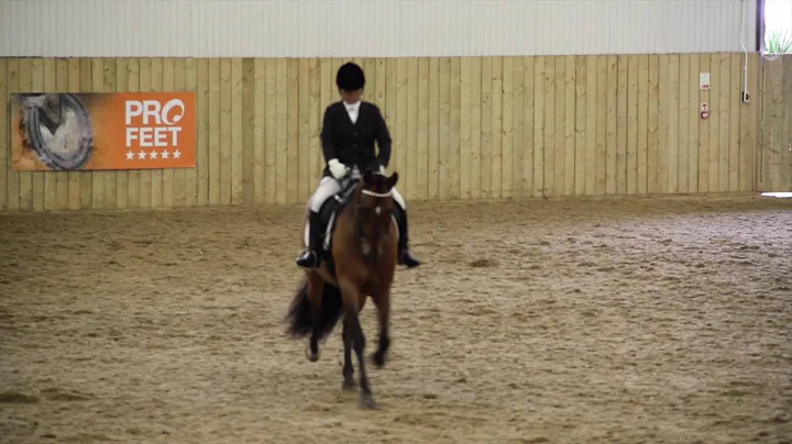 GB PRE 2016 Championships Janet Vickers