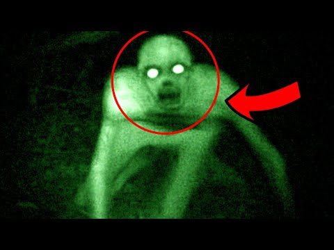 5 ვიდეო სადაც რეიკი დააფიქსირეს