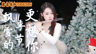 【唐音樂隊】竹笛Flute《飄雪的季節更想你》| 思思念念一直都是你 飄雪的季節更想你 |二胡Erhu竹笛Flute古箏Guzheng電吉他Guitar電子琴Electronic keyboard