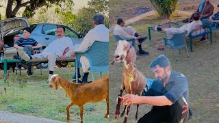 Saved Goat’s Life 🐐 | Cousin ko Jungle ki ser karai 🍀 | imhamzaali