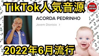 【TikTok】2022??バズった音源【ACORDA PEDRINHO】