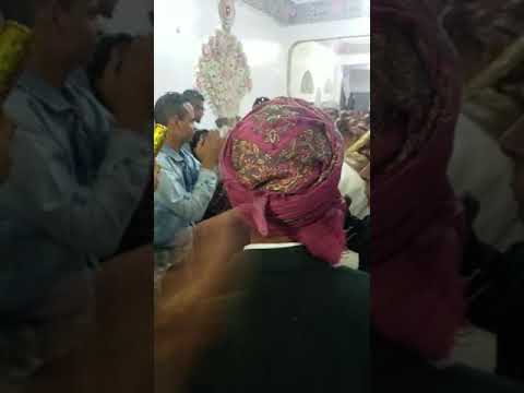 عرس الصهير صادق علاية