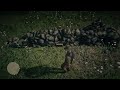 Middle of video