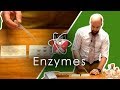 Enzymes  gcse science required practical