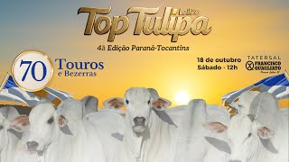 LOTE 18   TUL 3933