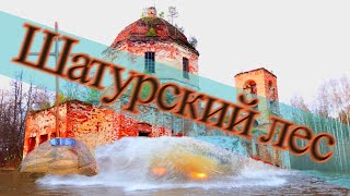 Шатурский лес. Урочище Курилово. Урочище Убитое поле. Евпатий Коловрат. Озеро Смердячье.