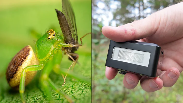 Godox iT30 Pro for Macro Photography? This tiny flash surprised me!