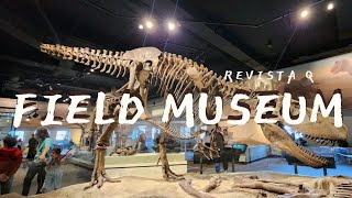 FIELD MUSEUM EN CHICAGO