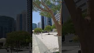 Internet City Vibes Dubais Green Corners