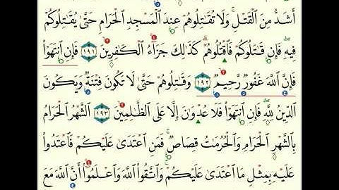 (1) سورة البقرة من 189 الى 195