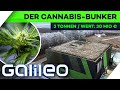 Deutschlands größtes Marihuana-Lager: Atombombenfest und 30 Mio € schwer! | Galileo | ProSieben