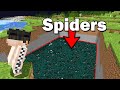 1,234 Poison Spiders vs Minecraft SMP