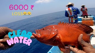 Bait fishing in deep sea | Different types of Fishes 😍😍