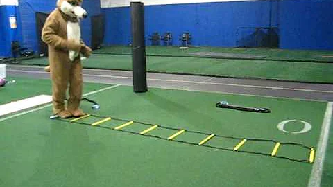 Leonard Russell - Loper Christmas Coyote Spotting!...