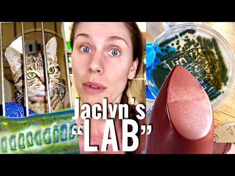 Confirmed Animals in Jaclyn Hill Lipstick Manufacturing Facility - Animal Hair In Lipstick?