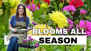 How to Design a Cut Flower Garden That Blooms All Season