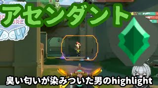 valo highlight 3【valorant】