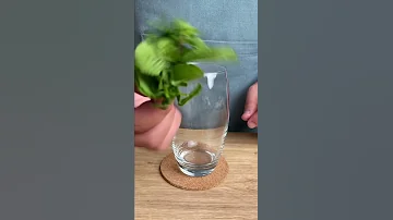 طريقة سهلة للموهيتو موخيتو اكتر مشروب منعش في الحر صيف عمر عربي Mojito Shorts 