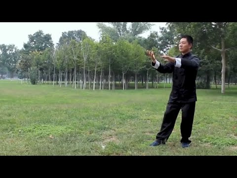 Master's Demonstration: Yiquan Fen-Gua Shili(Force-testing)