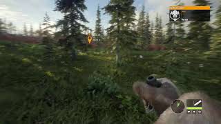 The Hunter COTW / A la caza del Oso Amoroso... en YOKAN VALLEY/ PC [1080p] screenshot 1