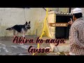 Akira ko aaya gussa ii vlog 15