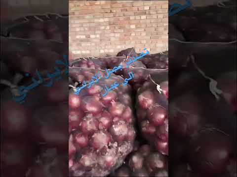 تصدير بصل ايراني الي عمان  میوه  پول اكسبلور بطاطس بصل ع مان