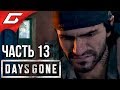 DAYS GONE (Жизнь После) ➤ Прохождение #13 ➤ ТЕРПИ, БРАТ!