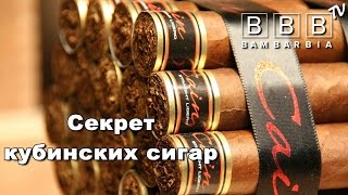 Кубинские сигары: секрет утонченного вкуса. Как выбрать качественные сигары?
