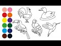 🦆🦅 ANIMALES PÁJAROS - dibujar y colorear para niños -  Dibujar animales com Strauss