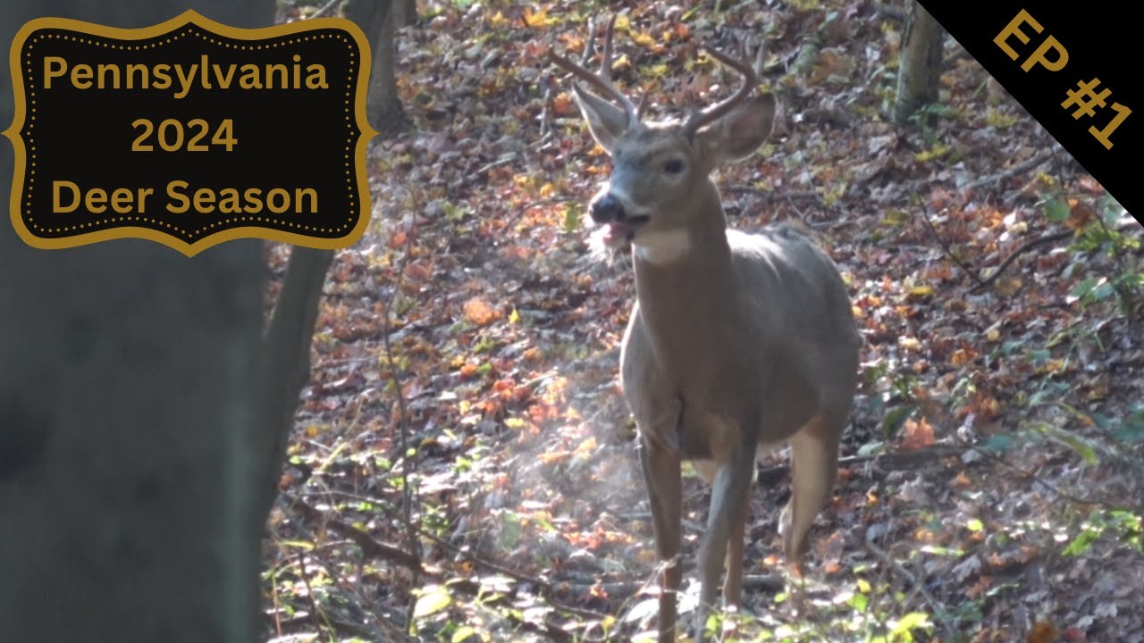 Opening Day 2024 PA. Archery Season - YouTube