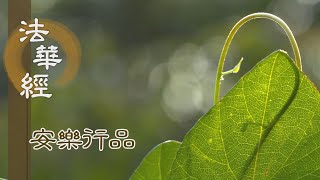 【靜思妙蓮華】法華經安樂行品 - 染情生苦 宜修淨戒 - 20230417 第1394集