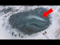 LIVE: Why Did Megalodon Avoid Antarctica? We’re Diving Into Ocean Secrets
